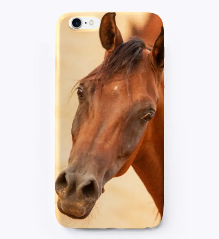 Arabian Horse iPhone Case