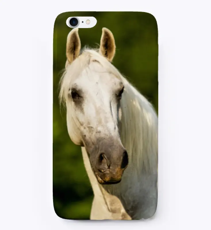 Lipizzaner Horse iPhone Case